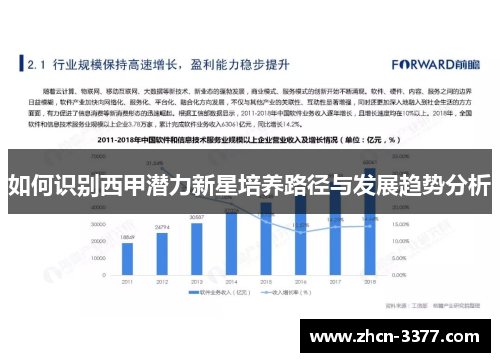 如何识别西甲潜力新星培养路径与发展趋势分析