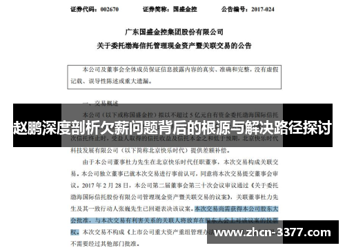赵鹏深度剖析欠薪问题背后的根源与解决路径探讨