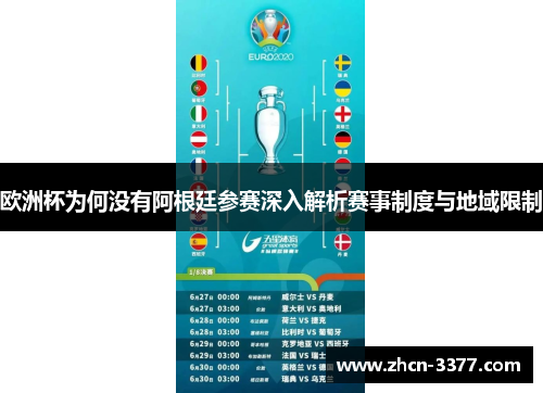 欧洲杯为何没有阿根廷参赛深入解析赛事制度与地域限制