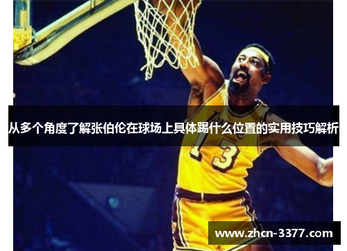 从多个角度了解张伯伦在球场上具体踢什么位置的实用技巧解析 从多个角度了解张伯伦在球场上具体踢什么位置的实用技巧解析