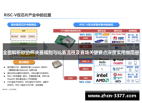 全面解析欧协杯决赛规则与比赛流程及赛场关键要点深度实用指南册