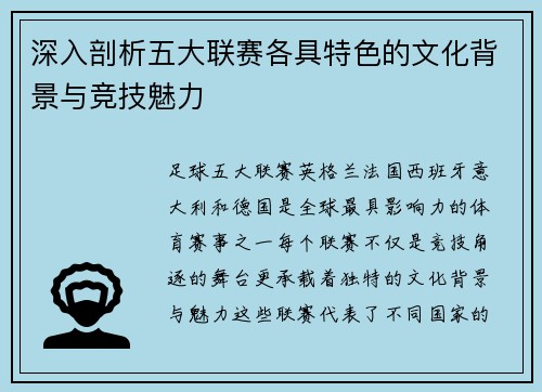 深入剖析五大联赛各具特色的文化背景与竞技魅力